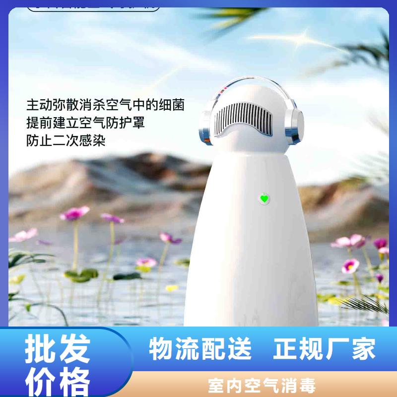小白孕妇空气守护机【车载空气净化器】产品优良