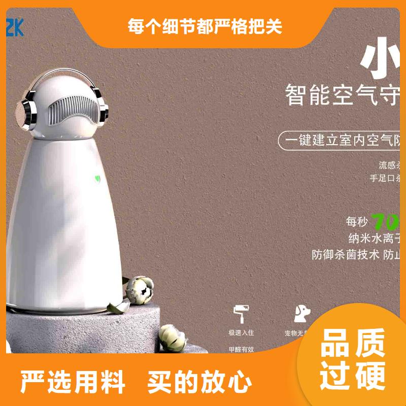 小白孕妇空气守护机小白祛味王生产企业优良工艺