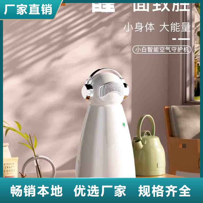 小白孕妇空气守护机小白空气守护机器人销售热线厂家案例