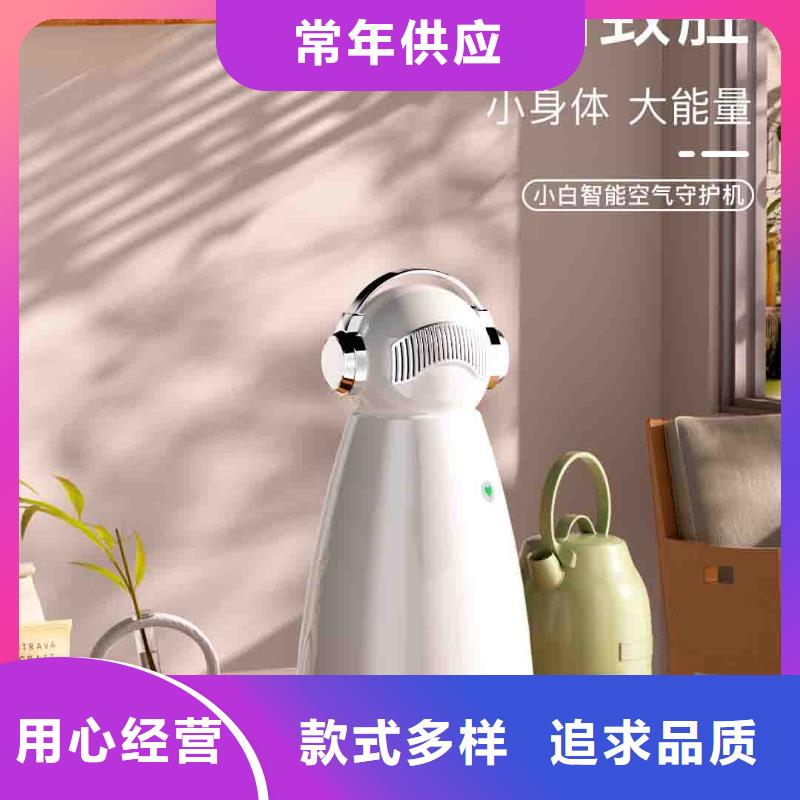 小白婴儿空气守护机车载空气净化器厂家用心做好细节
