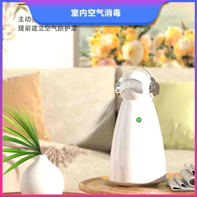 小白婴儿空气守护机【车载空气净化器】您身边的厂家