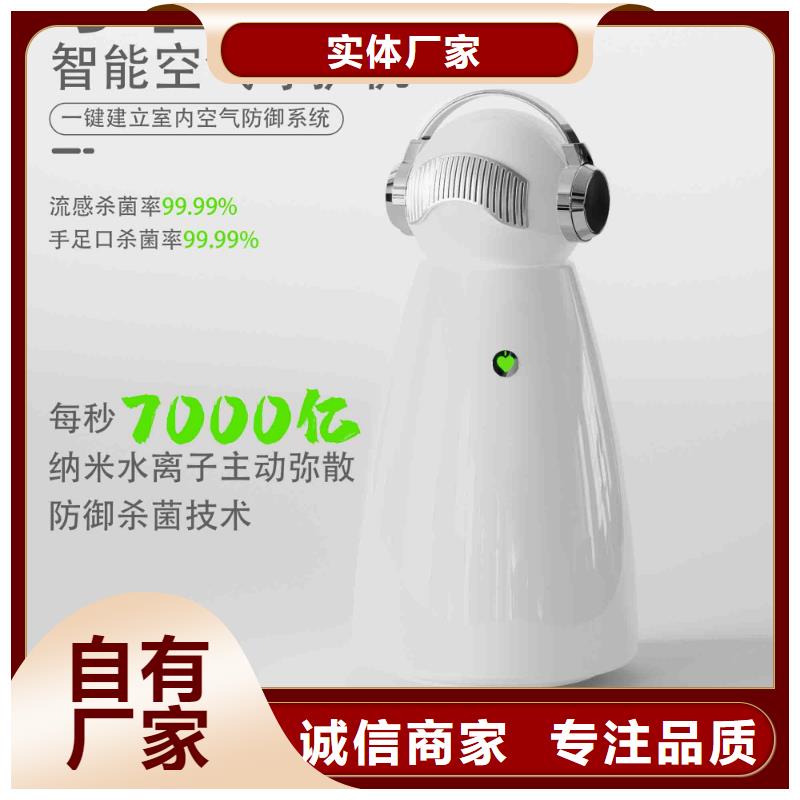 小白空气守护机,车载空气净化器价格实拍展现