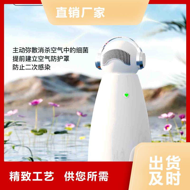 小白空气守护机,车载空气净化器价格实拍展现