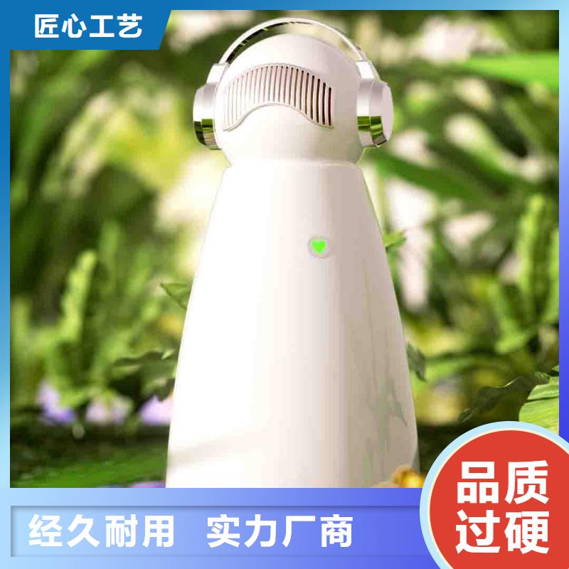 小白空气守护机小白祛味王现货批发当地厂家值得信赖