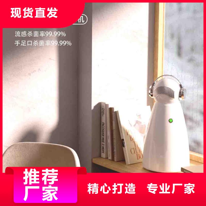 小白空气守护机,车载空气净化器价格实拍展现