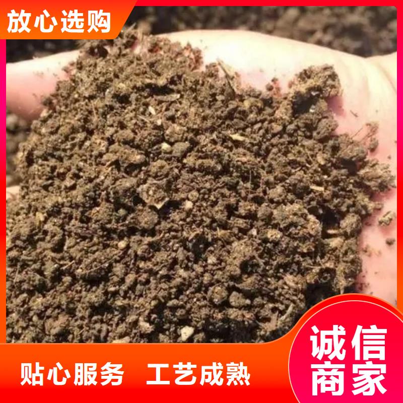 烟台淄博潍坊鸡粪多少起批