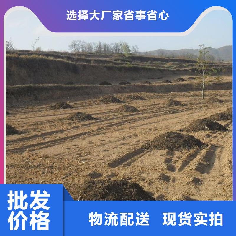 肥水鸡粪滋养农田