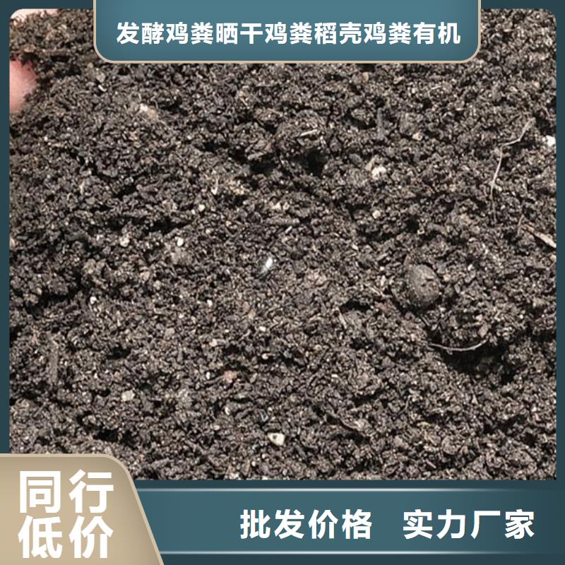 干鸡粪块怎样用