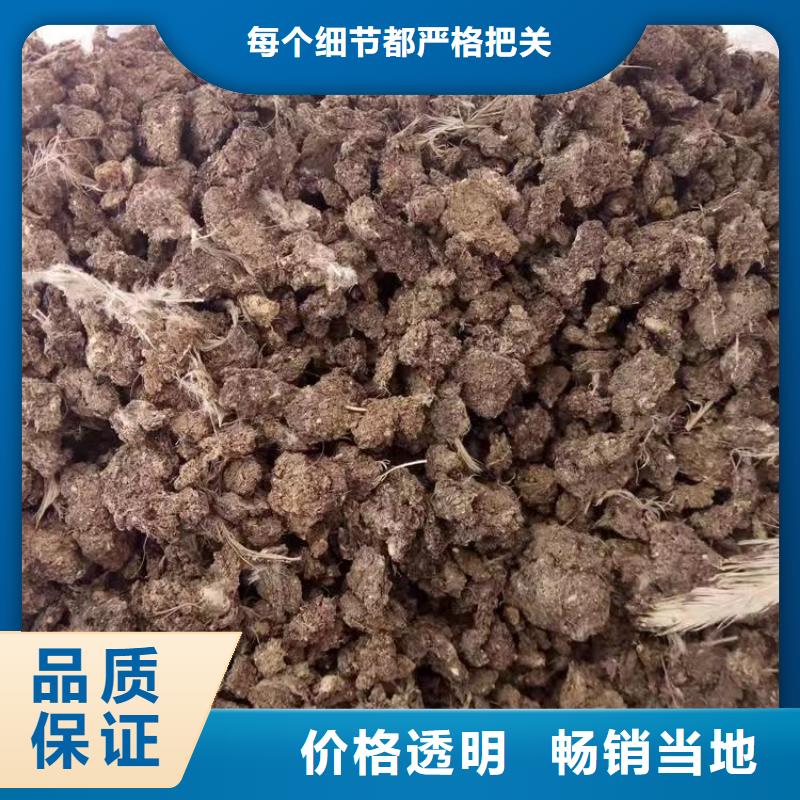 鄄城纯干鸡粪哪里卖