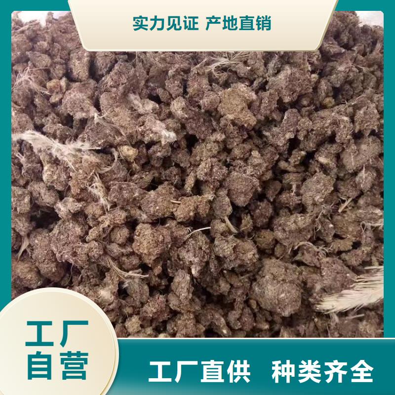 博野羊粪改善农田土壤环境
