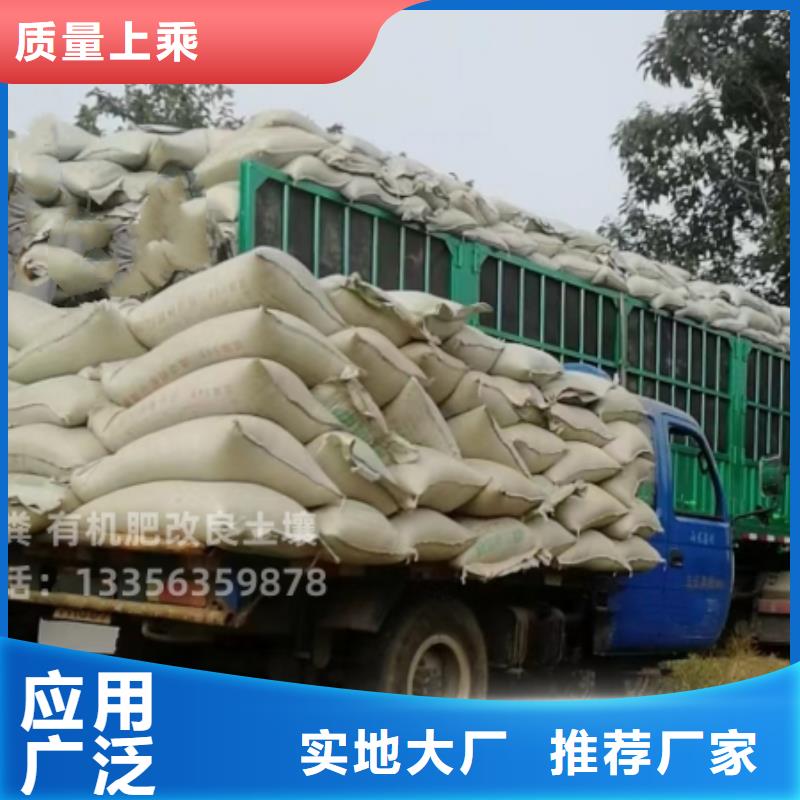 干鸡粪块补充养分
