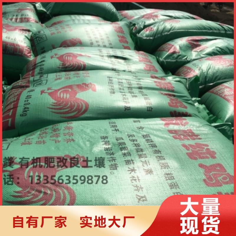 肥水鸡粪滋养农田