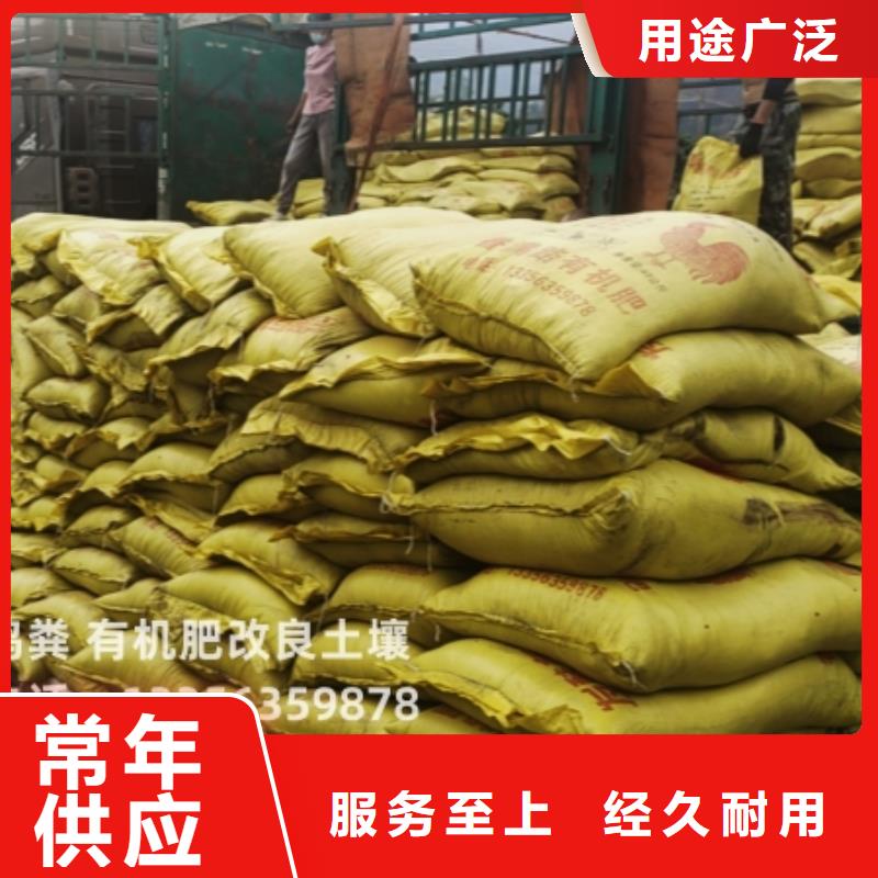 干鸡粪让庄稼长势好