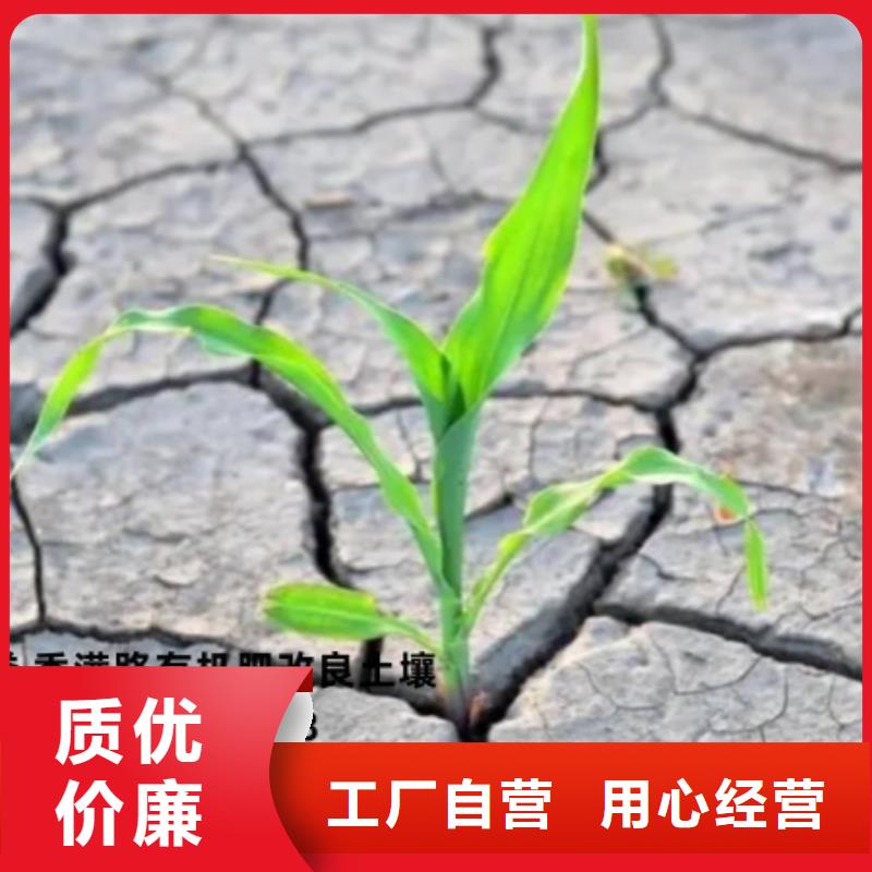 晒干鸡粪一袋多少钱