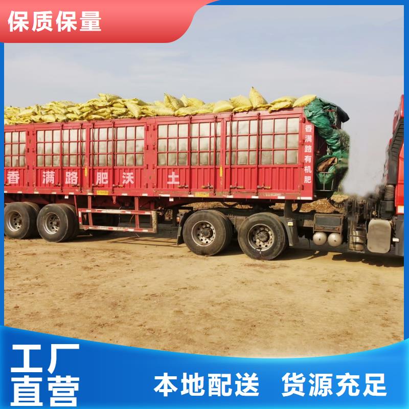 雄县发酵羊粪联系方式