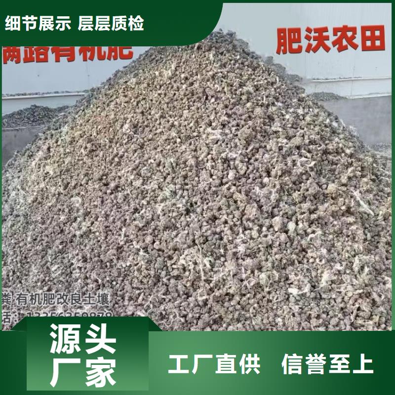肥水鸡粪送货到家