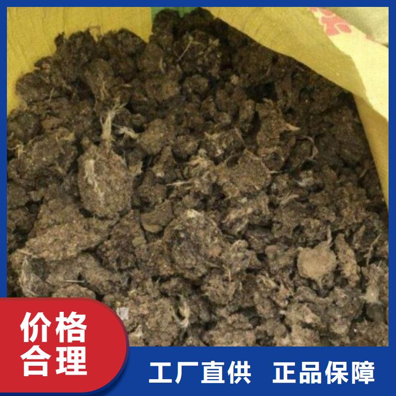 曲阜邹城滕州发酵鸡粪技术指导