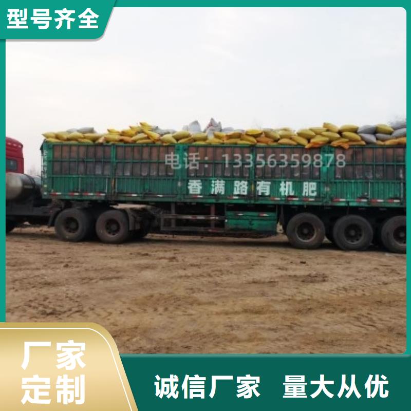 羊粪让庄稼籽粒饱满