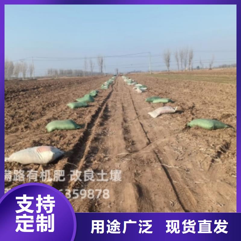 发酵羊粪有什么用