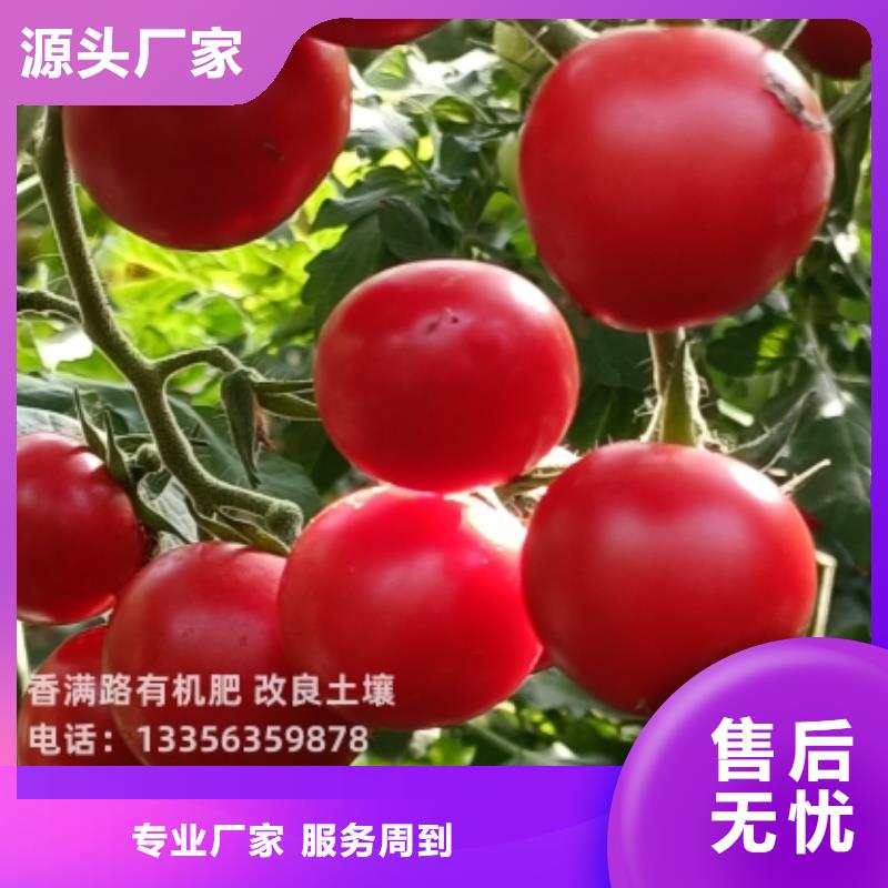 发酵鸡粪再造沃土良田