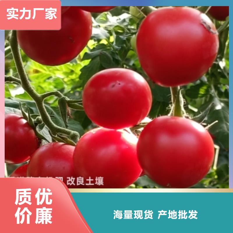 海南东方鸡粪何处能买到