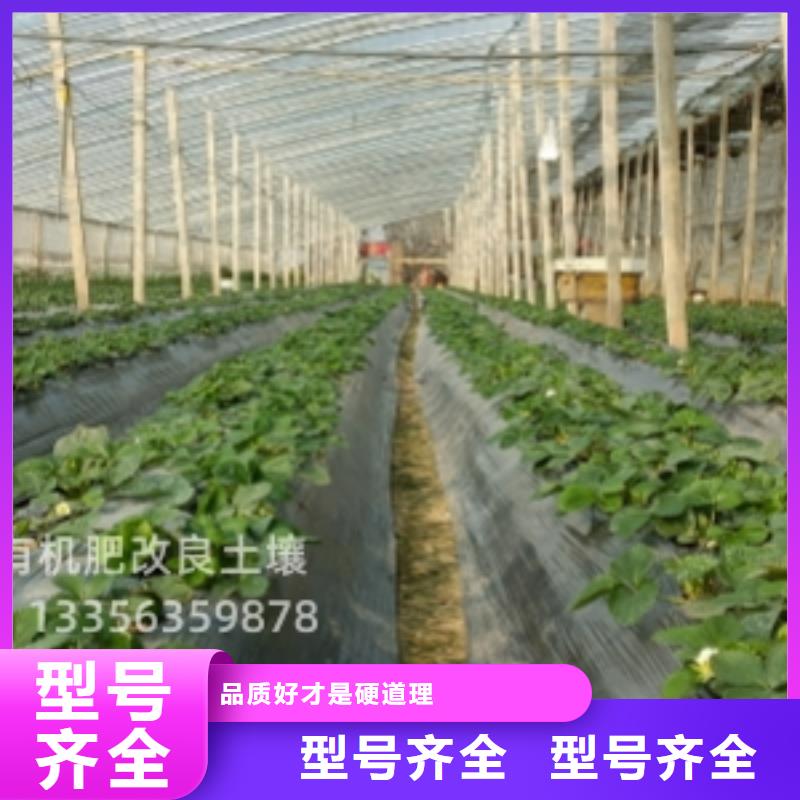 赤峰晒干鸡粪保水松土