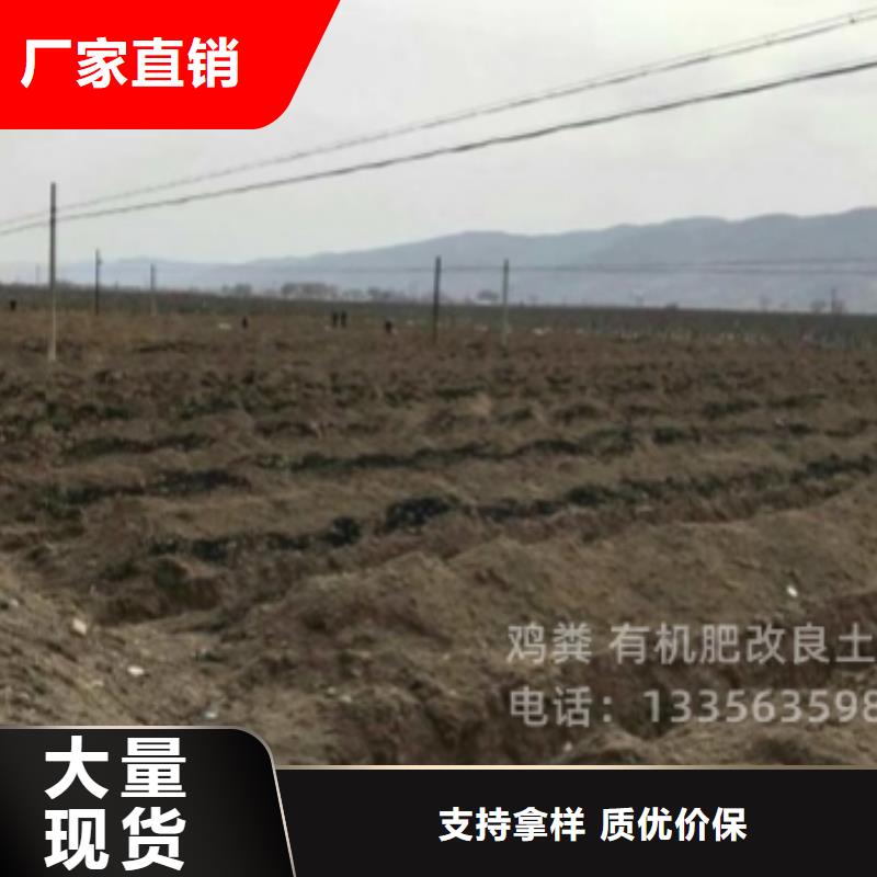 发酵羊粪改善土壤板结