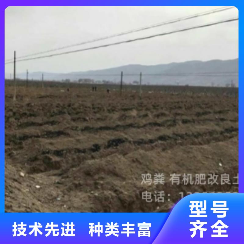 发酵鸡粪销售处