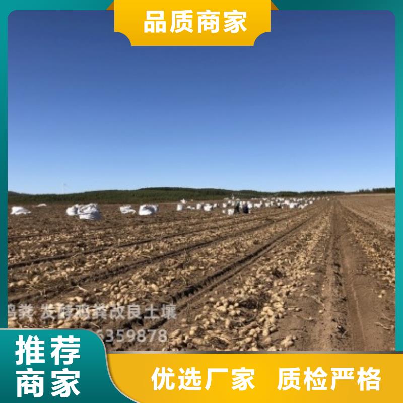 河北秦皇岛抚宁鸡粪增加农产品口感