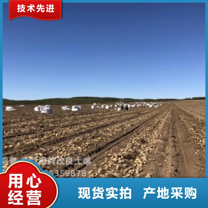再造良田单县邹城梁山鸡粪有机肥