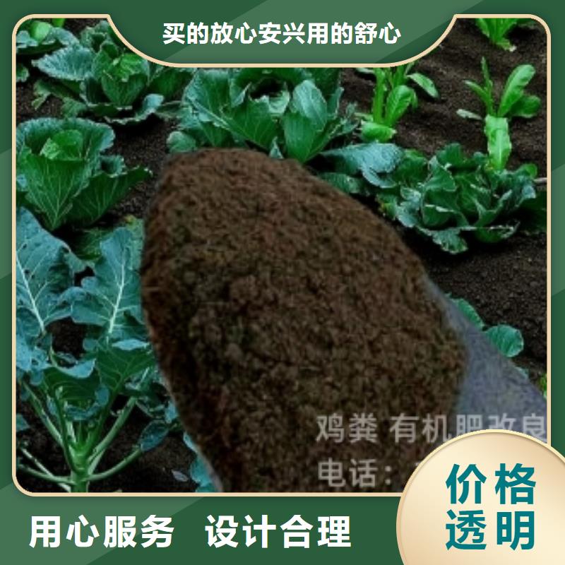 晒干鸡粪提高肥效