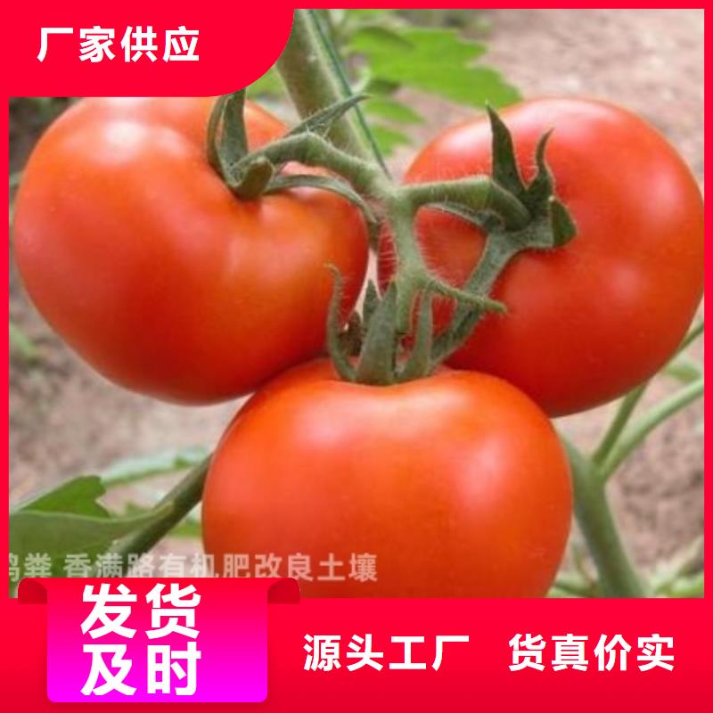 发酵羊粪价格常识