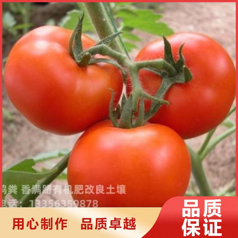 鸡粪【发酵羊粪】好品质经得住考验
