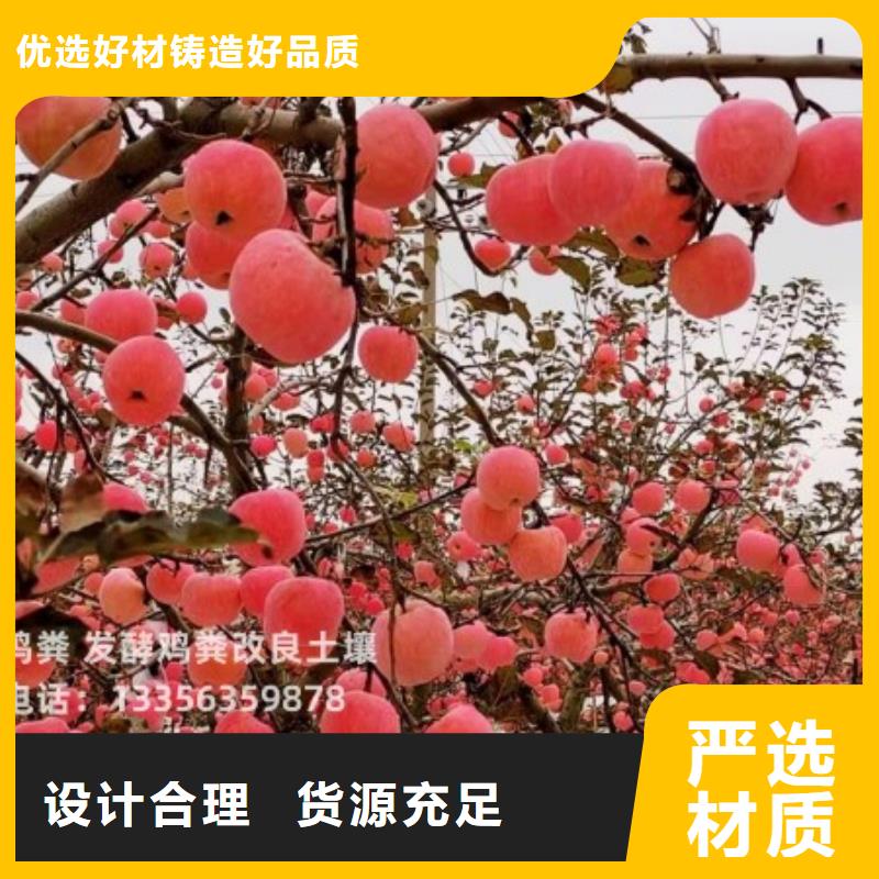 晒干鸡粪用这个施肥不错