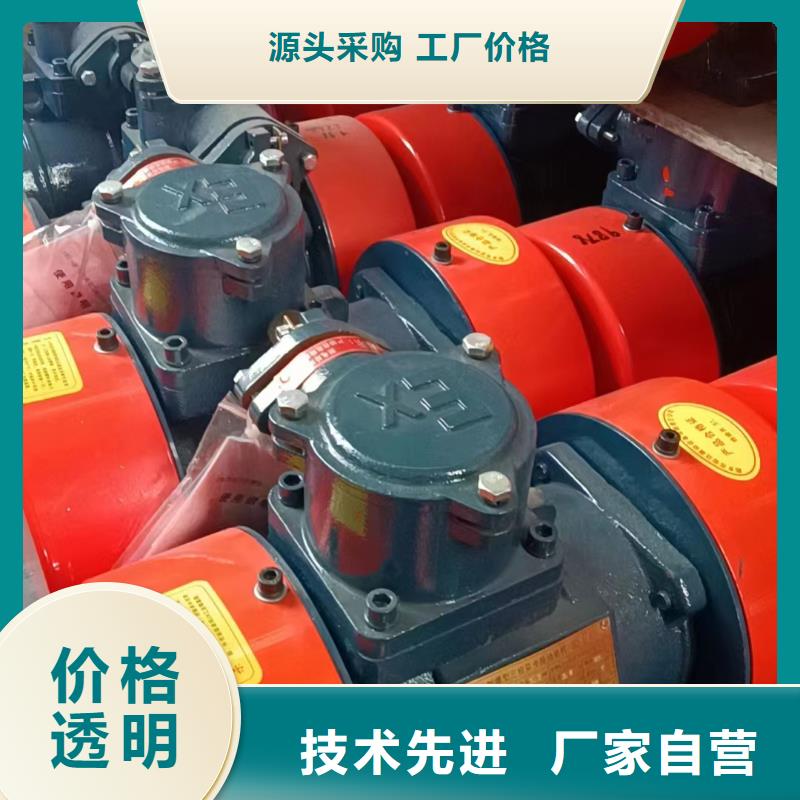 防爆振动电机防爆型振动电机真材实料诚信经营