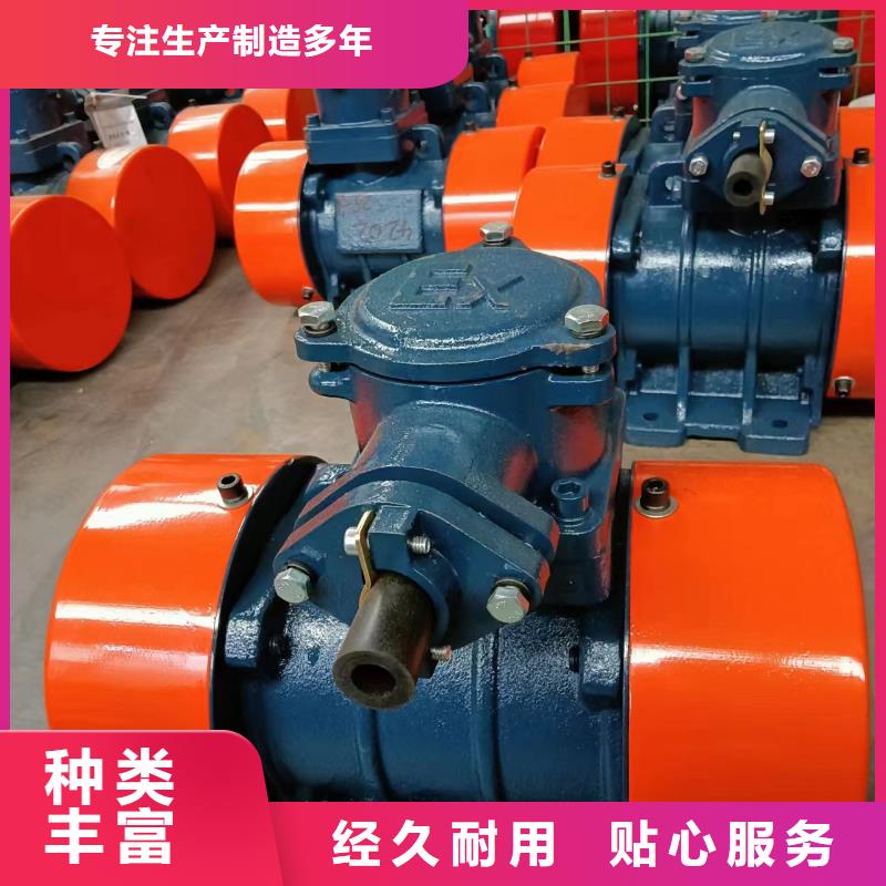 YBZJ-10-4防爆振动电机施工队伍