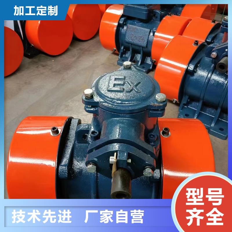 【防爆振动电机振动筛质量可靠】