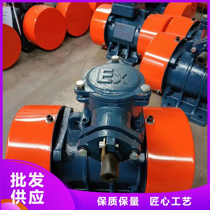 【防爆振动电机平板振动器卓越品质保障】