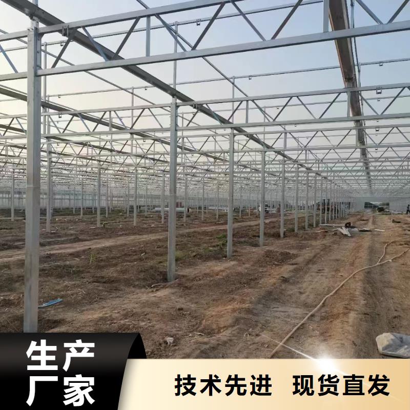 【薄膜连栋温室】【避雨棚】热镀锌