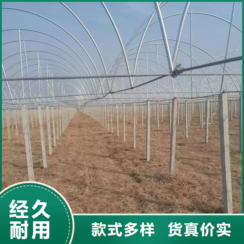 温室大棚光伏支架抱箍用心细节