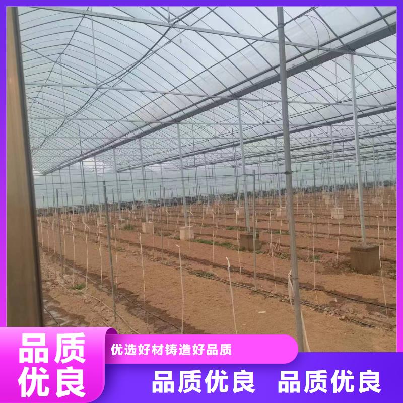 温室大棚,热镀锌光伏支架品质优选