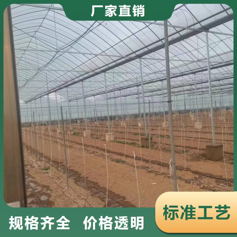 温室大棚太阳能光伏支架严格把控每一处细节