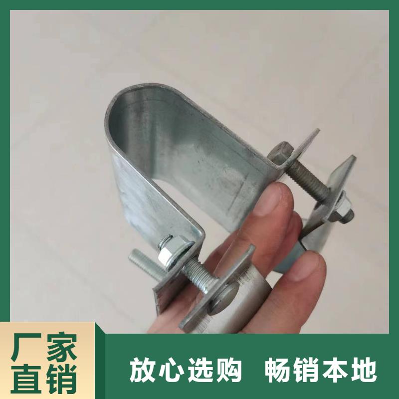 玻璃温室蓝莓生产