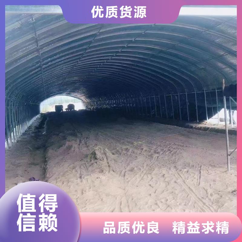 连栋棚车厘子加工