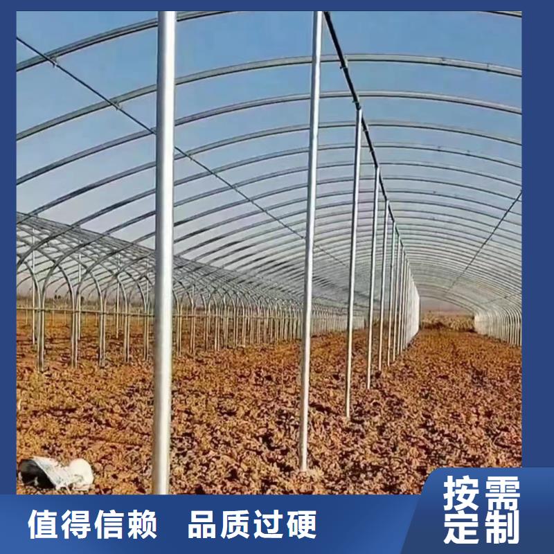 温室大棚太阳能光伏支架严格把控每一处细节