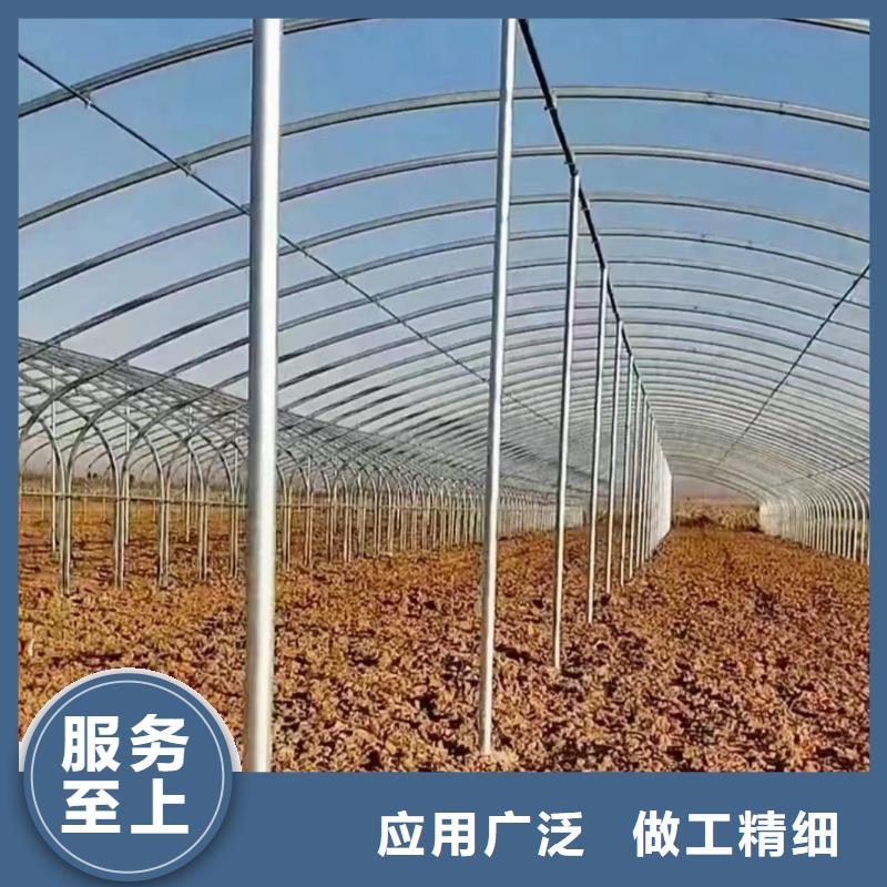 蓝莓避雨棚制作安装