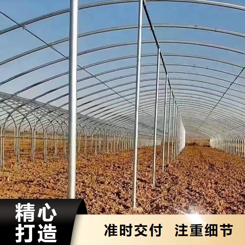 玻璃温室蓝莓生产