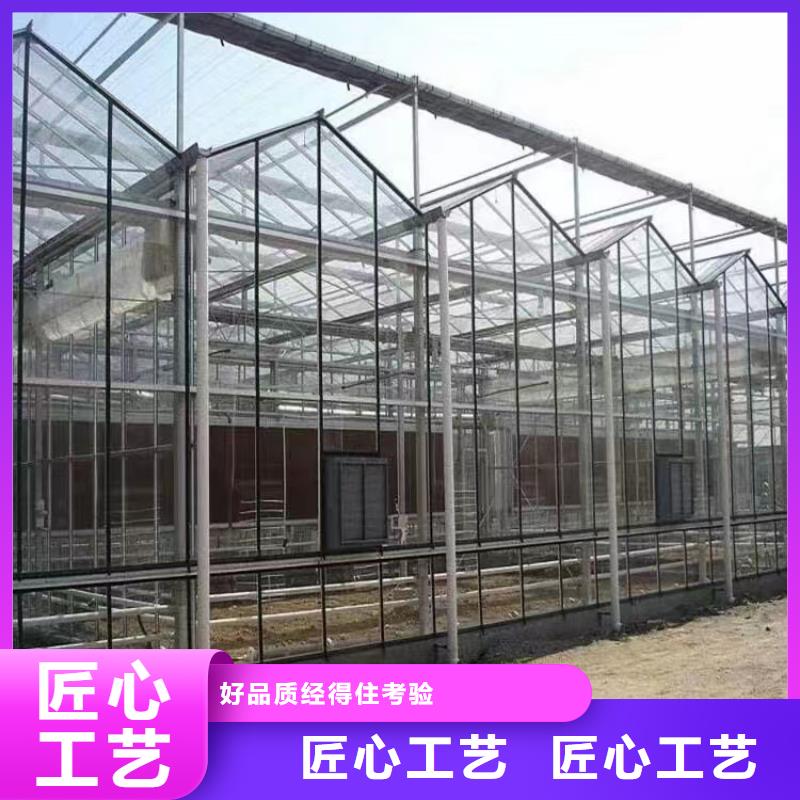 温室大棚-热镀锌光伏支架品质不将就