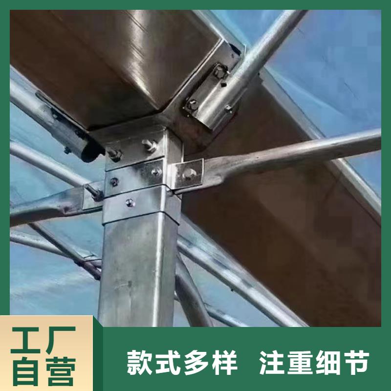 玻璃温室蓝莓生产