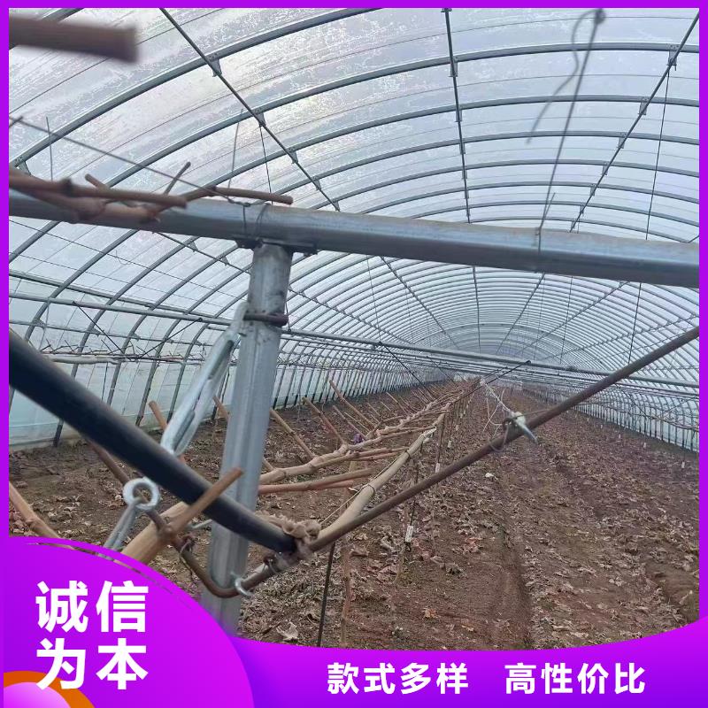 温室大棚-光伏支架立柱的图文介绍